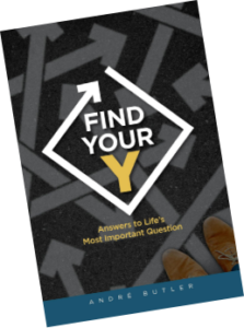 Find Your Y book