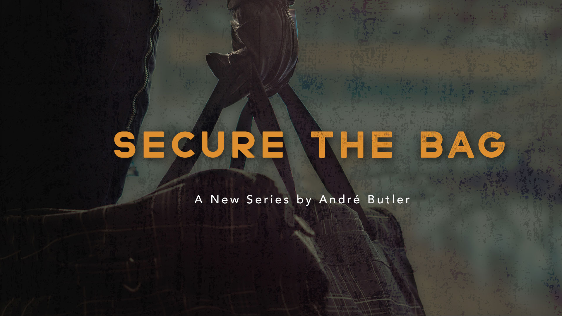 Secure the Bag series cover