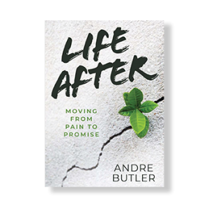 LifeAfter_book_web