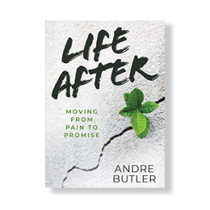 LifeAfter_book_web